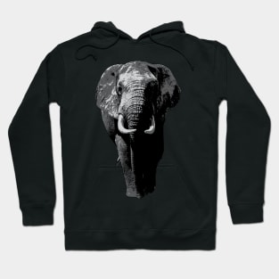 Elephant Big Five Africa Hoodie